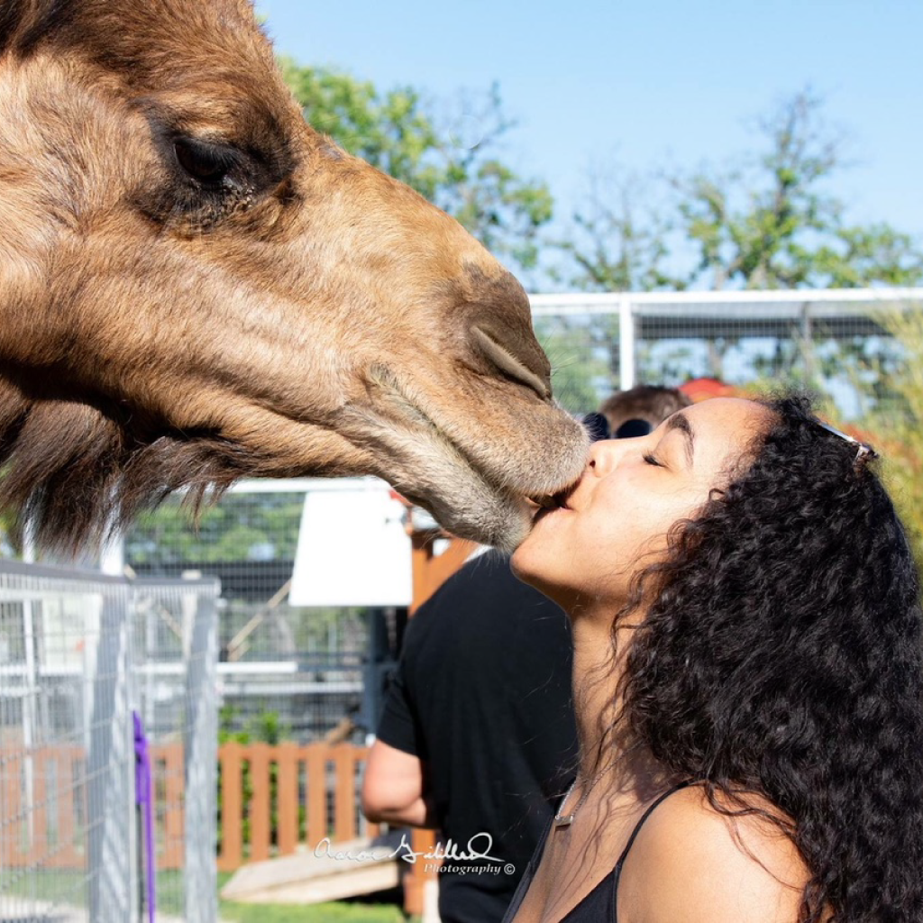 Exotic Animal Tour